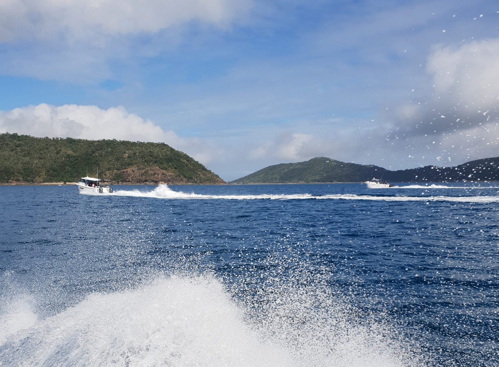 cruise whitsundays