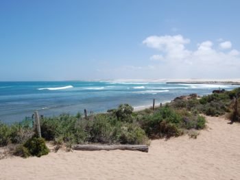 Cactus Beach