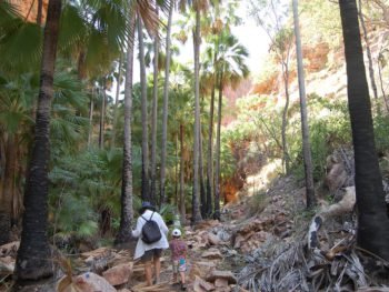 El Questro Gorge