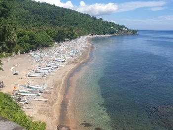 amed bali