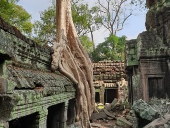 Cambodia Travel Guide