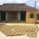 Thanh Ha Pottery Village