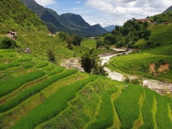 Trekking Sapa