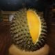 What is a Durian