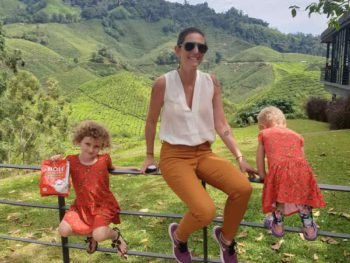 Things to do at Cameron Highlands