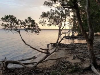 Habitat Noosa Everglades Ecocamp