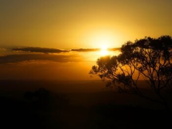 national parks pass NSW