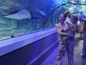 Sea Life Sunshine Coast