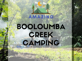 Booloumba Creek Camping